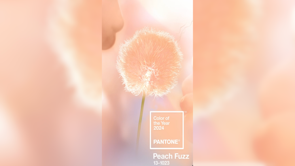 Peach Fuzz, il colore dell'anno 2024 dell'armocromia