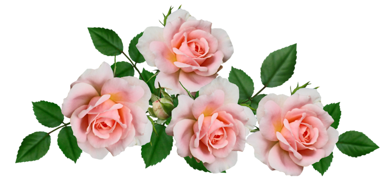 Celebrare la Festa della Mamma con Stile: Un'Esperienza di Bellezza Condivisa a Treviso 1 Promozione Armocromia a Treviso